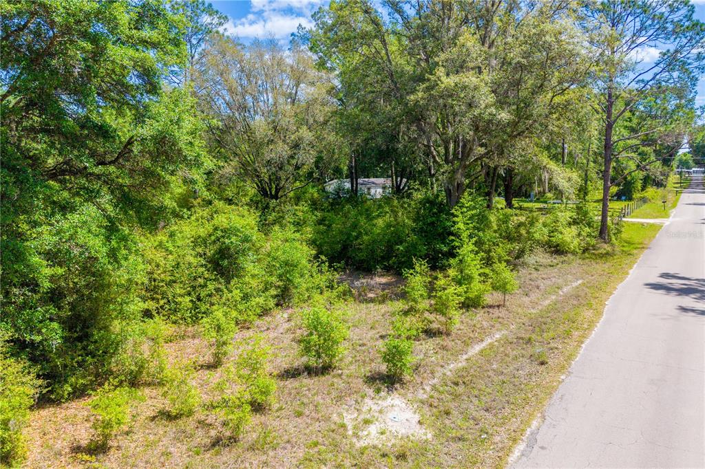 Tbd Southwest 52nd Terrace Lake Butler, FL 32054 - Photo 6 of 7 a view of a garden with plants