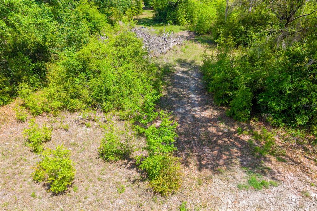 Tbd Southwest 52nd Terrace Lake Butler, FL 32054 - Photo 7 of 7 a backyard of a house with lots of green space