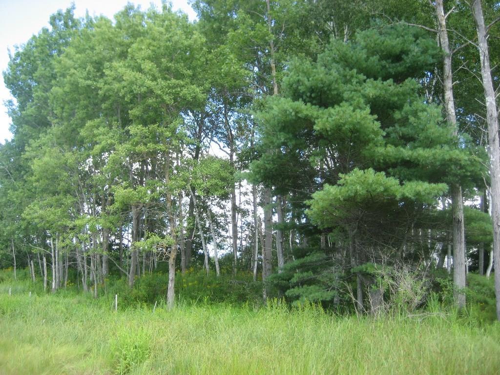 0 Toll Bridge Road Thomaston, ME 04861 - Photo 13 of 28 Photo