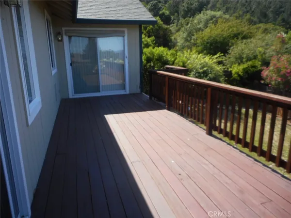 a view of a backyard with potted plants and large tree