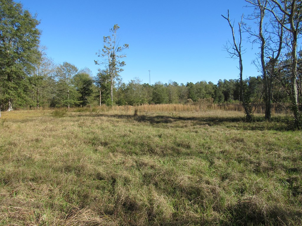 2049 Silver Bluff Road Aiken, SC 29803 - Photo 29 of 33