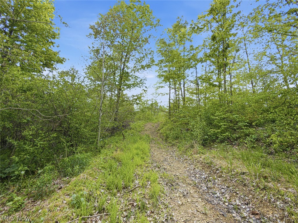 69-acres Newlon Road Malta, OH 43758 - Photo 15 of 20