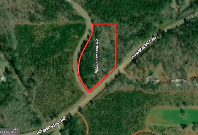 a view of a backyard with plants and wooden fence