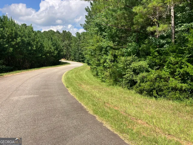 a view of a pathway both side of yard
