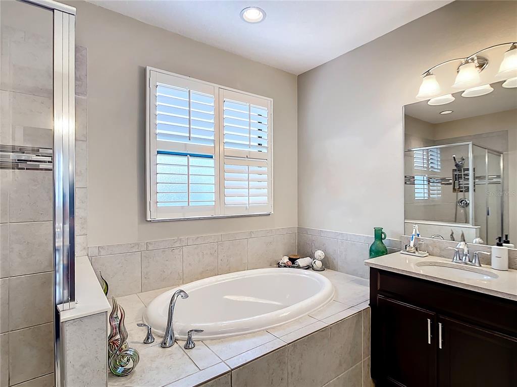 4744 Wandering Way Wesley Chapel, FL 33544 - Photo 20 of 39 a bathroom with a sink and a bathtub