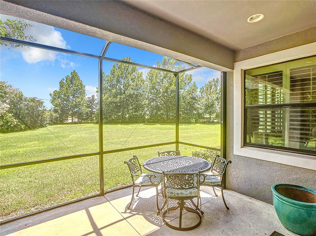 4744 Wandering Way Wesley Chapel, FL 33544 - Photo 30 of 39 a view of a dining room with furniture window and outside view