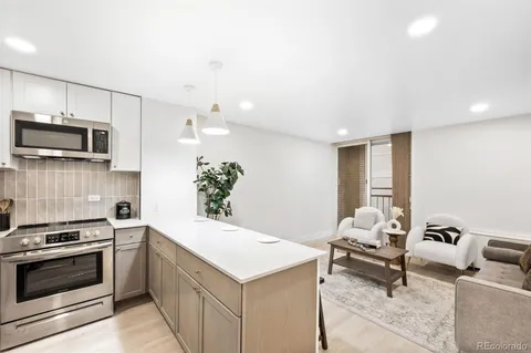 $250,000 | 830 Sherman Street, Unit 306, Denver, CO 80203