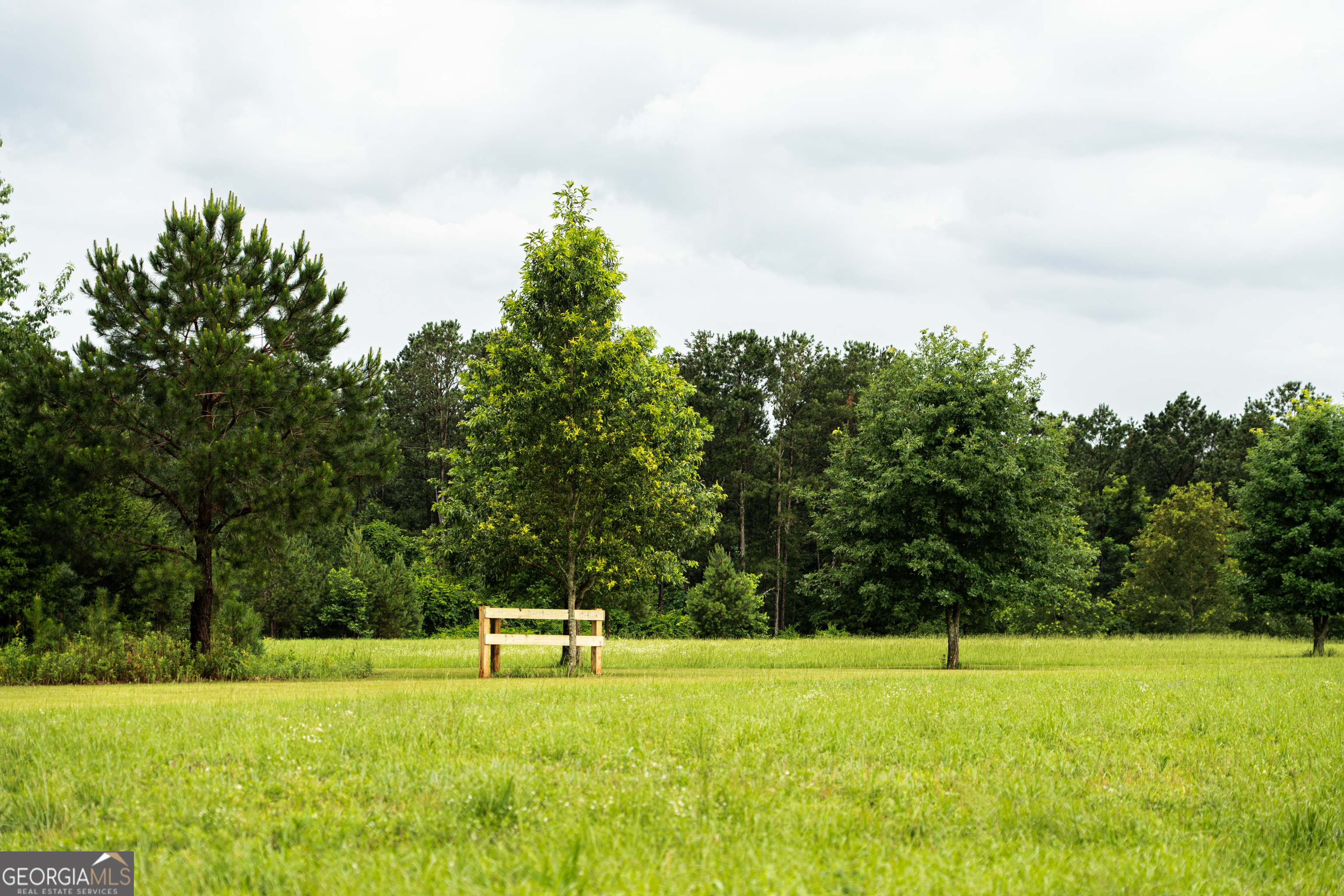 990 Highway 49 Americus, GA 31719 - Photo 35 of 121