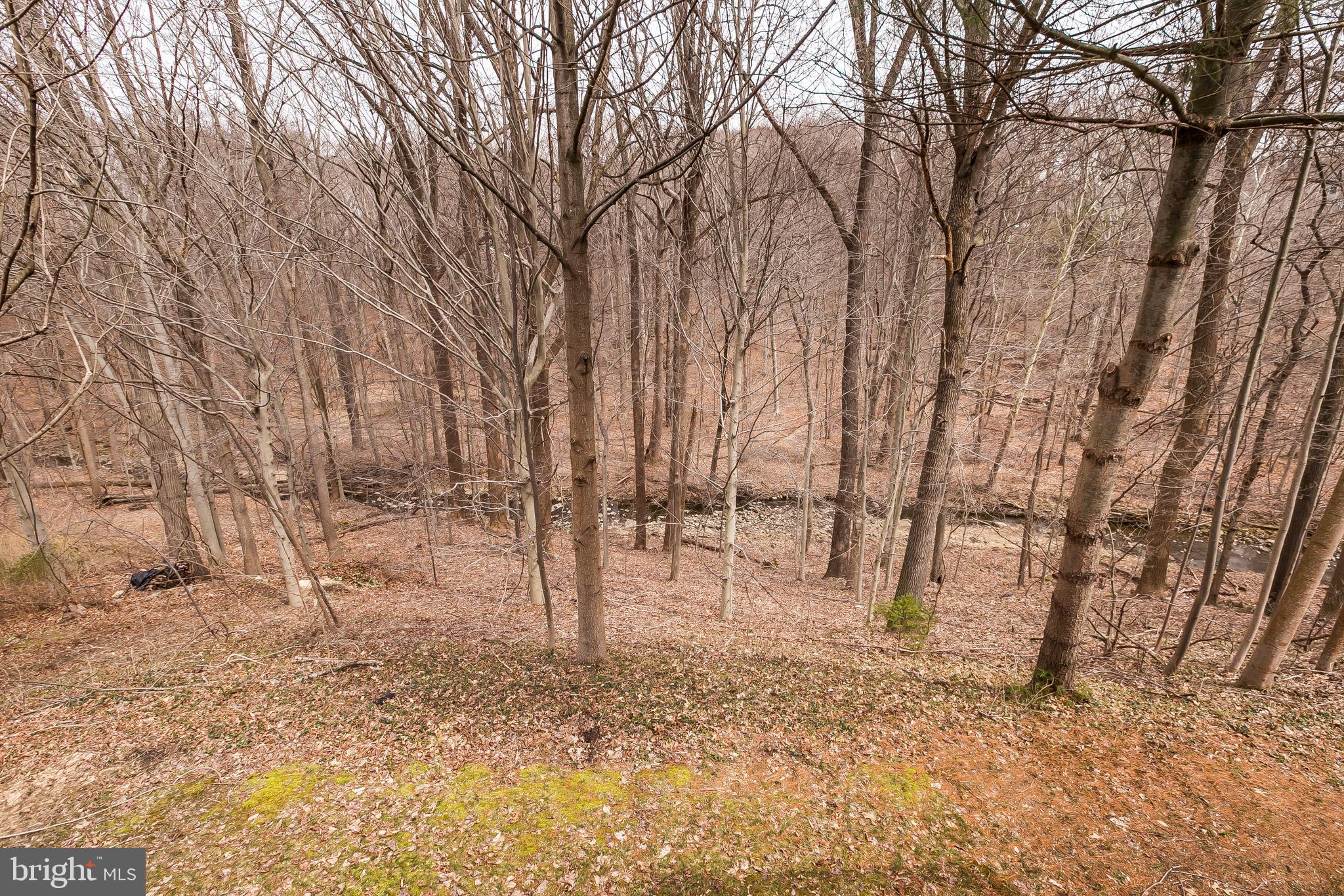 9307 Bellbeck Road Baltimore, MD 21234 - Photo 53 of 58 very private rear yard