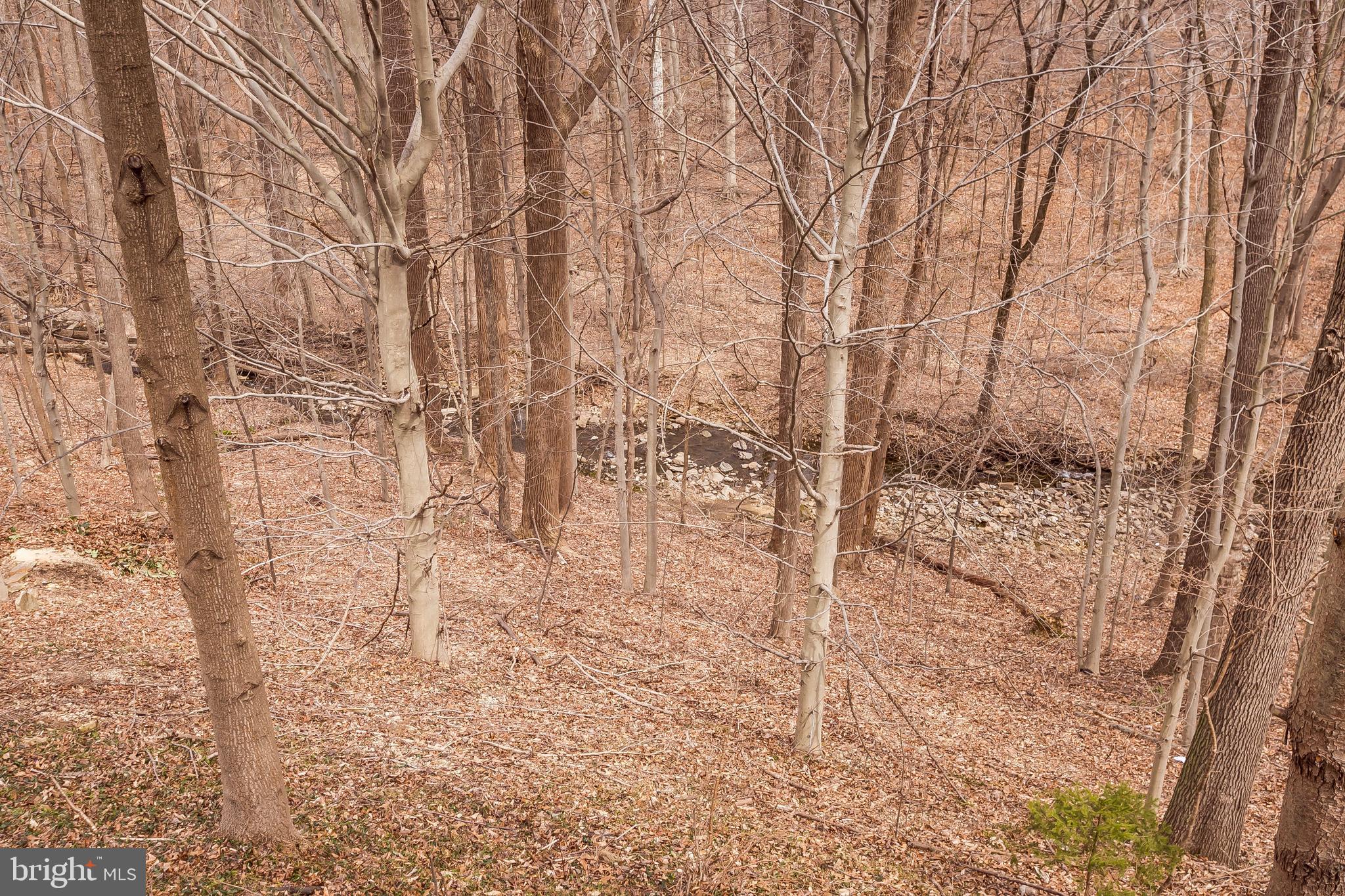 9307 Bellbeck Road Baltimore, MD 21234 - Photo 54 of 58 creek leads to Gun Powder