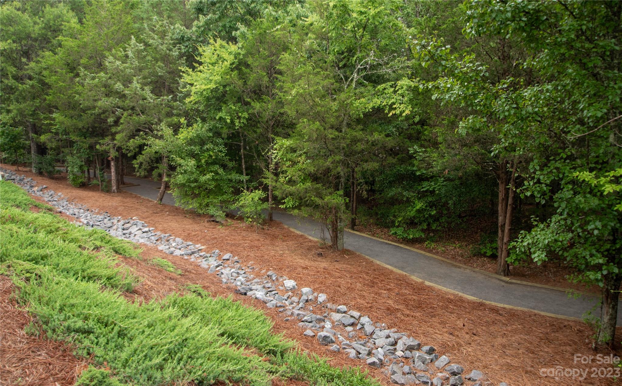 489 Hunters Dance Road Fort Mill, SC 29708 - Photo 29 of 36 a view of a yard with a trees