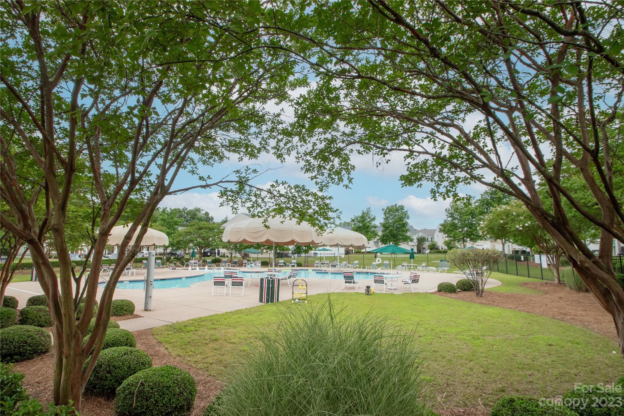 489 Hunters Dance Road Fort Mill, SC 29708 - Photo 35 of 36 a view of yard with swimming pool and trees