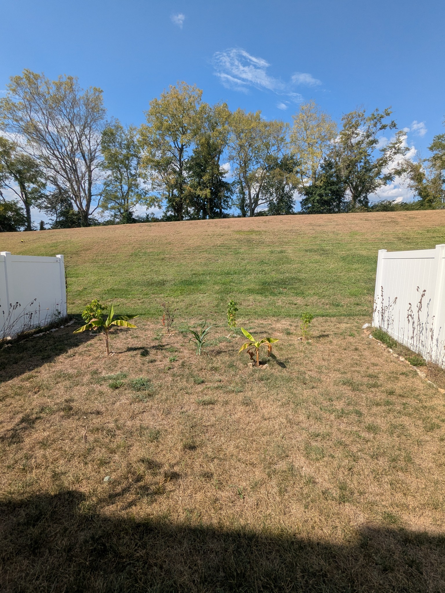 1100 June Wilde Ridge Spring Hill, TN 37174 - Photo 17 of 17 Gallery Image 17