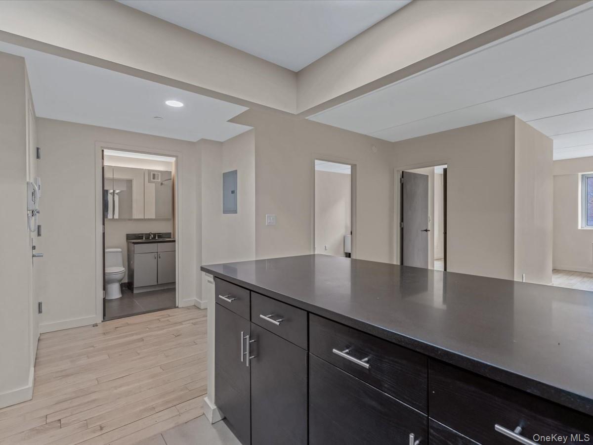 1810 3rd Avenue, Unit A2D Manhattan, NY 10029 - Photo 7 of 19 Kitchen featuring dark cabinetry, light wood-type flooring, recessed lighting, and dark stone counters