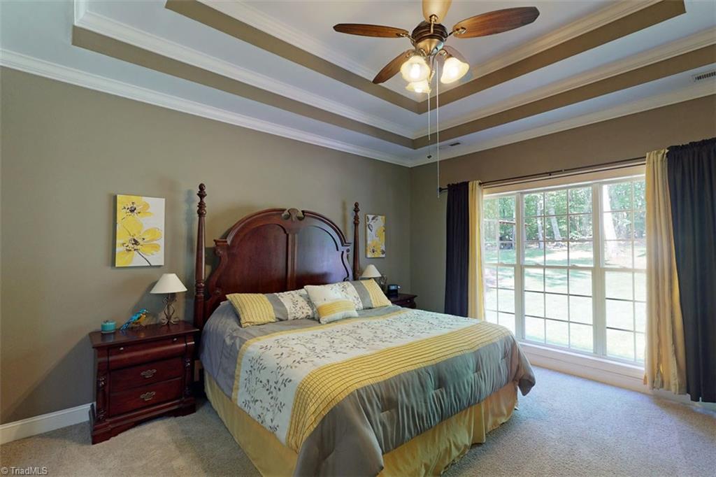 434 Rabbit Farm Trail Advance, NC 27006 - Photo 12 of 39 Spacious master bedroom on main level with trey ceiling and view to the back yard.