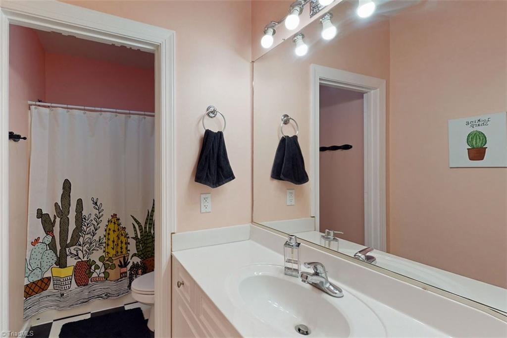 434 Rabbit Farm Trail Advance, NC 27006 - Photo 21 of 39 Basement bathroom.