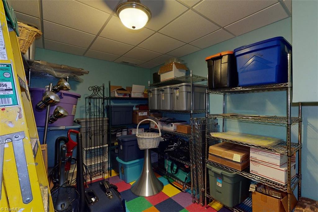434 Rabbit Farm Trail Advance, NC 27006 - Photo 29 of 39 Basement Storage Room