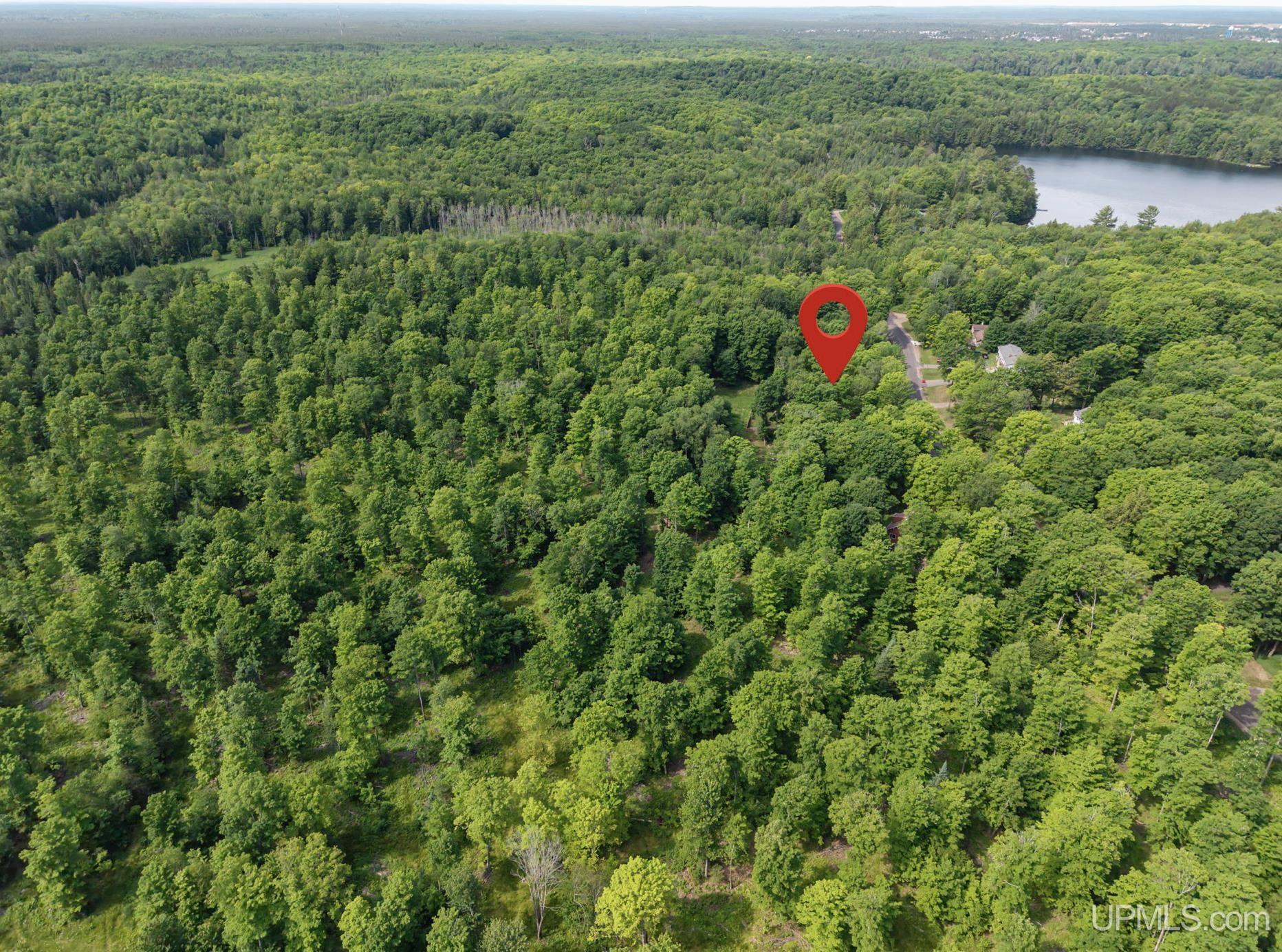 1658 Engman Lake Road Skandia, MI 49885 - Photo 34 of 50