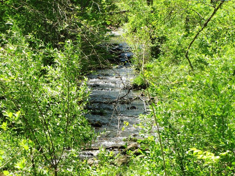 329 Trout Run Road Waiteville, WV 24984 - Photo 69 of 91 Gallery Image 69