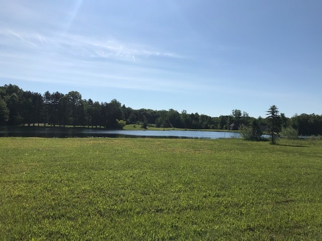 Vac Frandsche Road Chesaning, MI 48616 - Photo 4 of 6