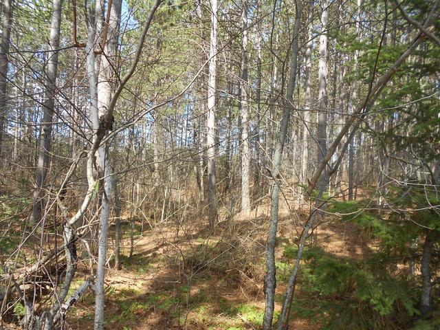 On Towering Pines Lane, Unit LOT 7 Rhinelander, WI 54501 - Photo 3 of 7 Gallery Image 3