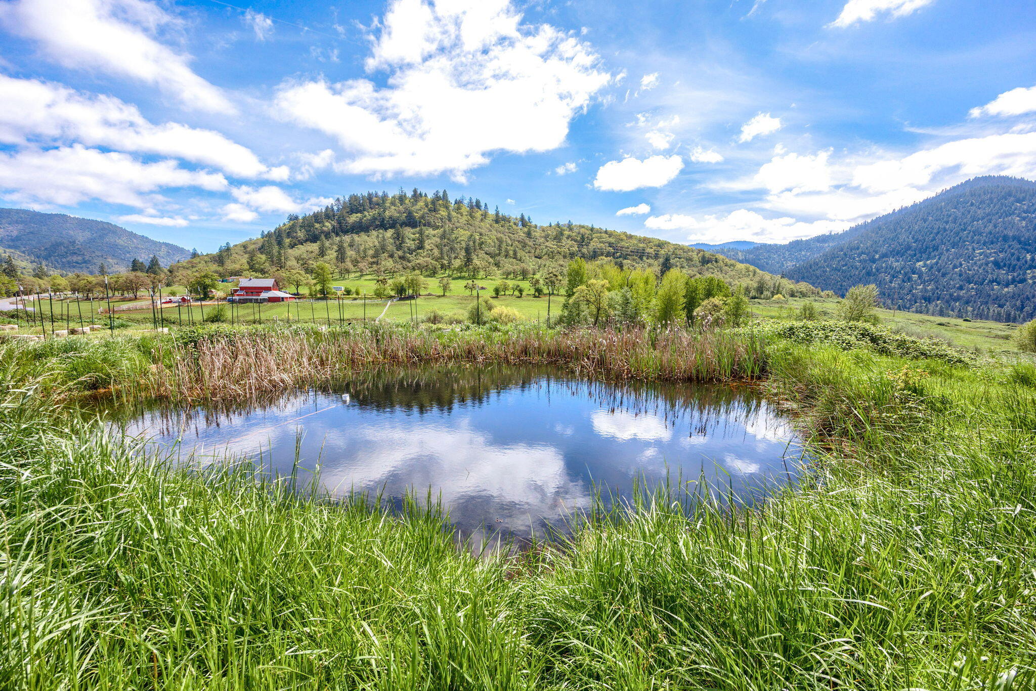 2635 Moon Mountain Road Grants Pass, OR 97526 - Photo 1 of 14 1-web-or-mls-MM (1)