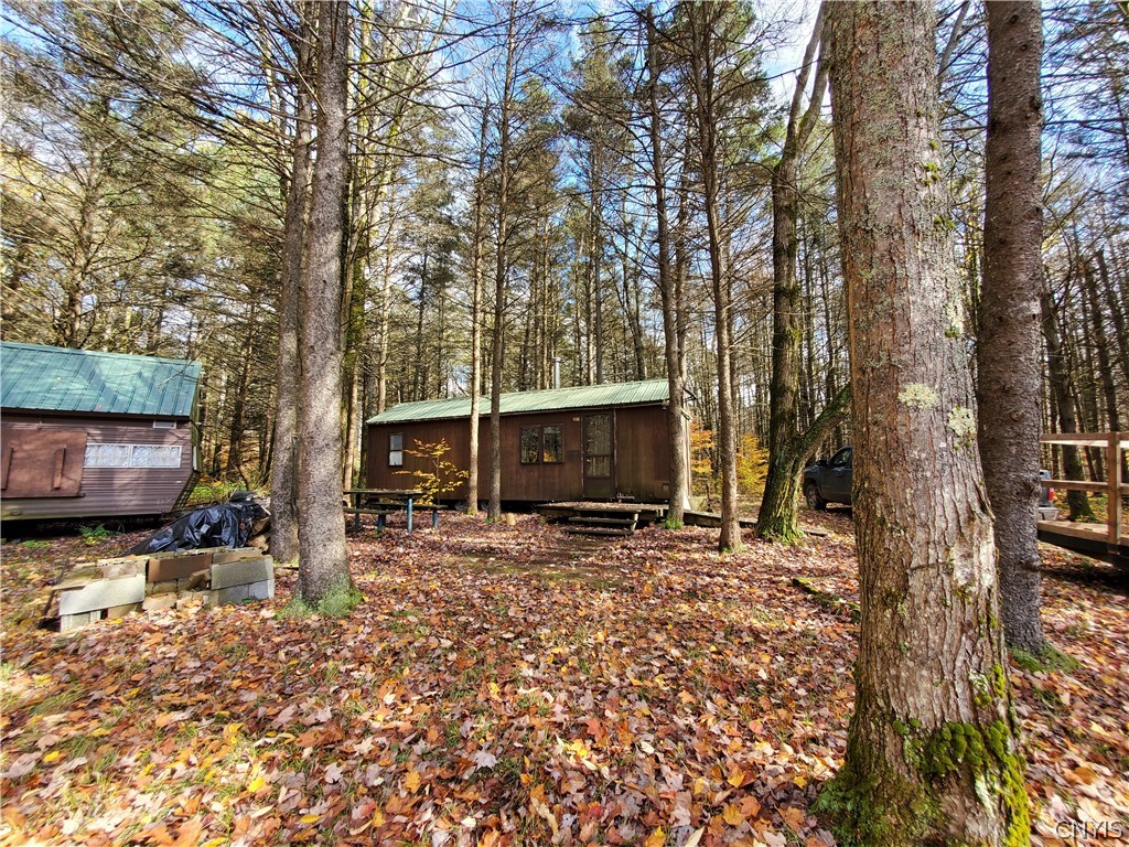 0 Johnson Road De Ruyter, NY 13052 - Photo 3 of 18 Gallery Image 3