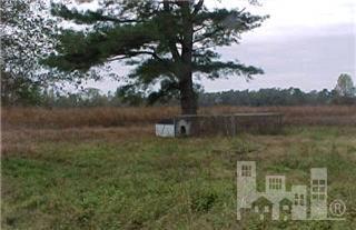 3190 Trinity Church Road Magnolia, NC 28453 - Photo 1 of 9 Primary Photo
