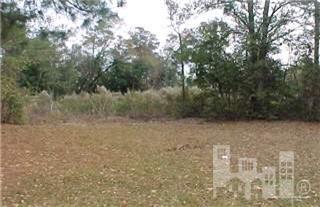 3190 Trinity Church Road Magnolia, NC 28453 - Photo 3 of 9 Additional Photo