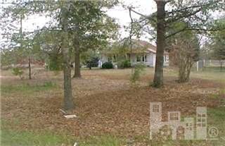 3190 Trinity Church Road Magnolia, NC 28453 - Photo 8 of 9 Additional Photo