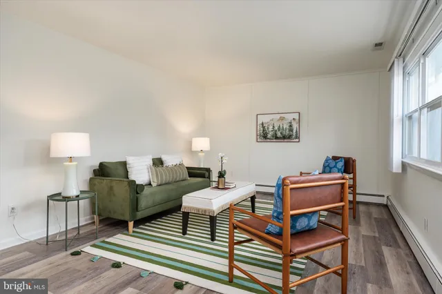 a living room with furniture a rug and a window