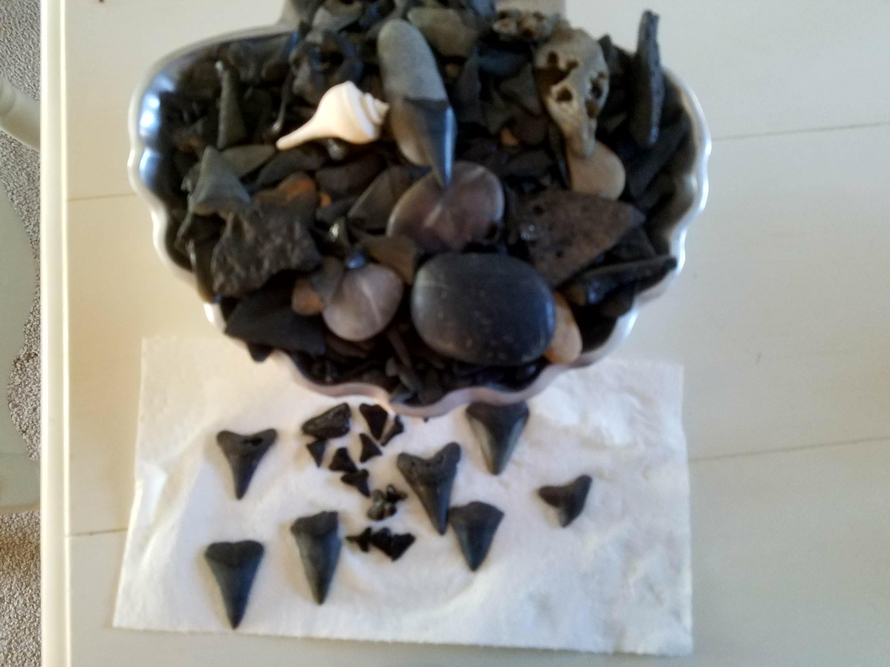 436 Baird Point Road Grantsboro, NC 28529 - Photo 20 of 22 Find Large ancient Sharks Teeth on area River Beaches