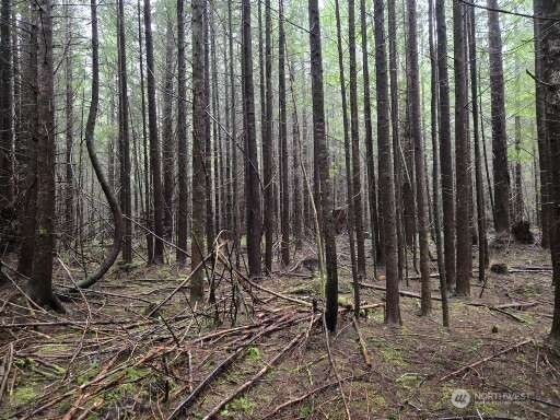 -end Of Greenwood Road Hoquiam, WA 98550 - Photo 4 of 6 a view of outdoor space with chairs