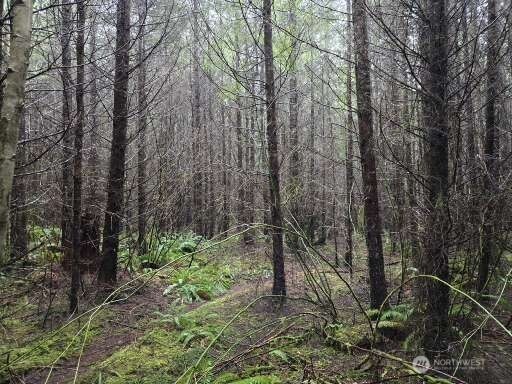 -end Of Greenwood Road Hoquiam, WA 98550 - Photo 5 of 6 a backyard of a house with lots of green space