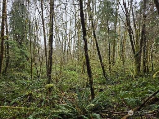 -end Of Greenwood Road Hoquiam, WA 98550 - Photo 6 of 6 a view of forest