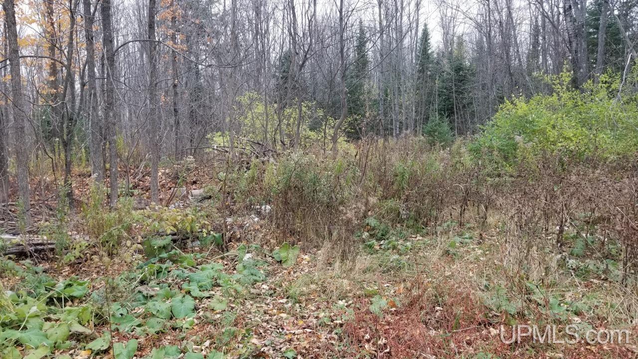 581 Bates-Amasa Road Iron River, MI 49935 - Photo 30 of 33 Gallery Image 30