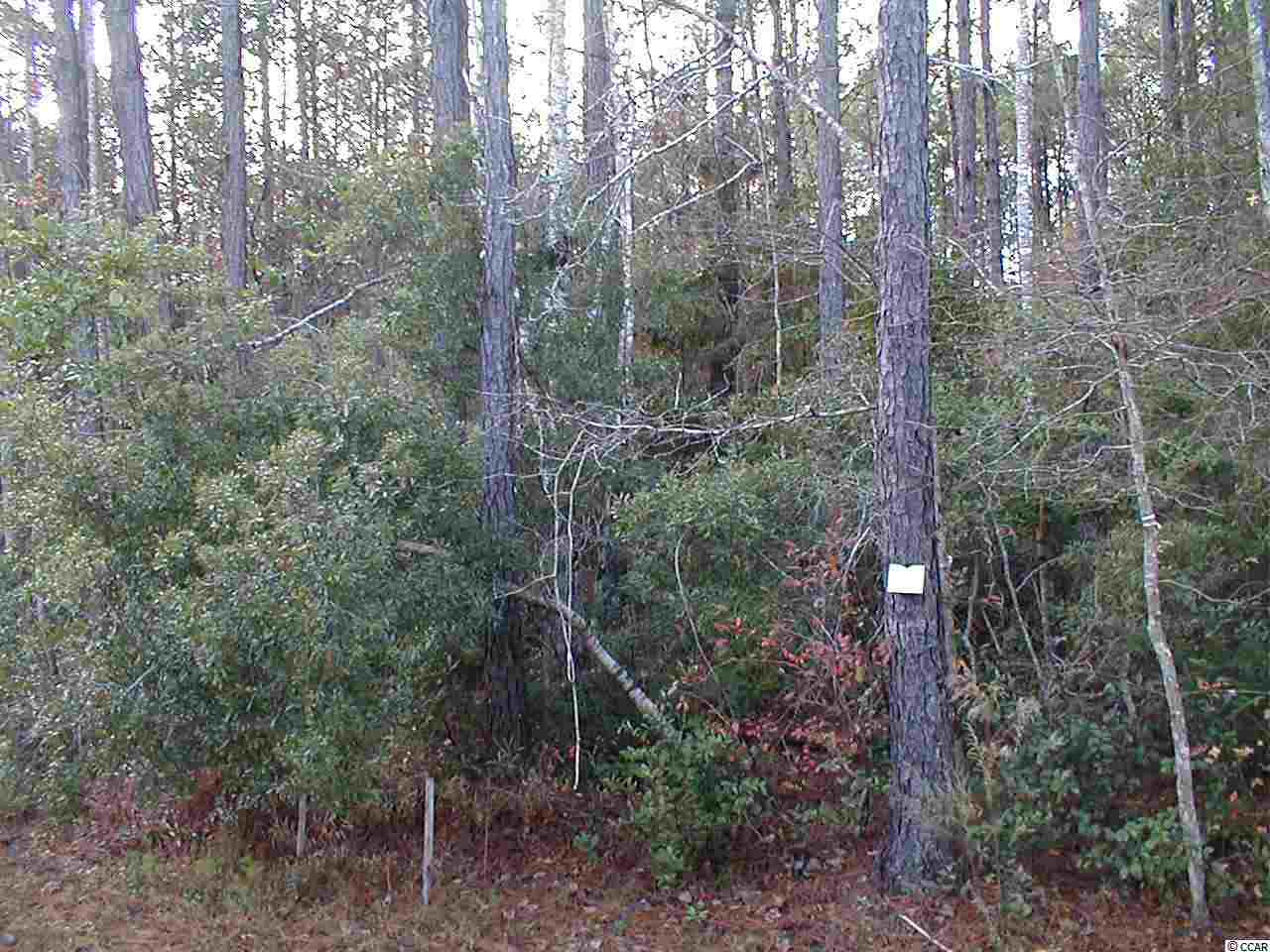 118 Old Course Road, Unit D Murrells Inlet, SC 29576 - Photo 14 of 14