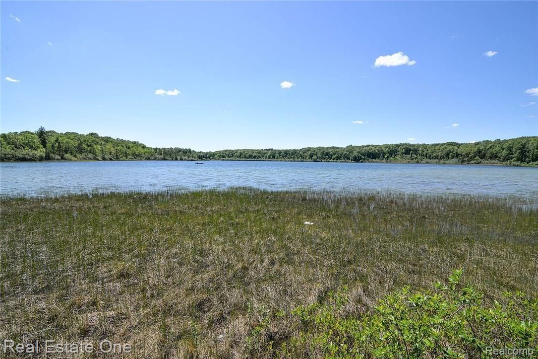 6019 Nottingham Point Brighton, MI 48116 - Photo 72 of 85 aug_4399.jpg