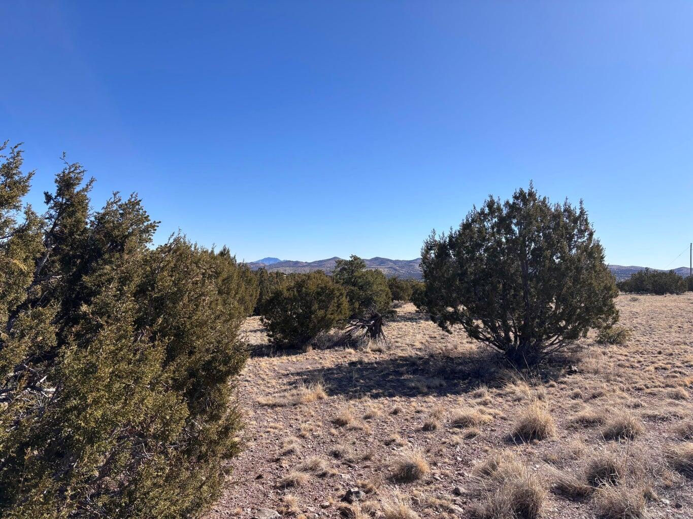 173 Campfire Rd Road Magdalena, NM 87825 - Photo 2 of 7 Gallery Image 2