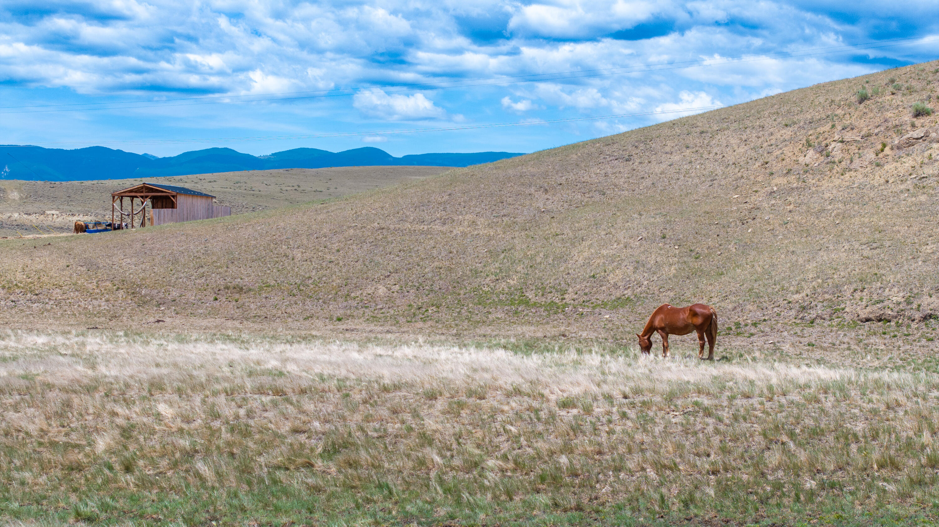 49 Wallows Creek Road Buffalo, WY 82834 - Photo 33 of 34 34