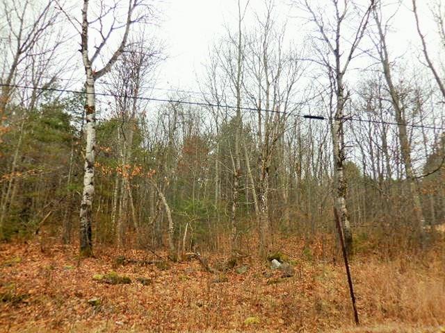 29 Back Parkman Road Abbot, ME 04406 - Photo 11 of 16 Photo