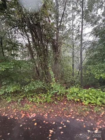 a big yard with lots of green space and fog