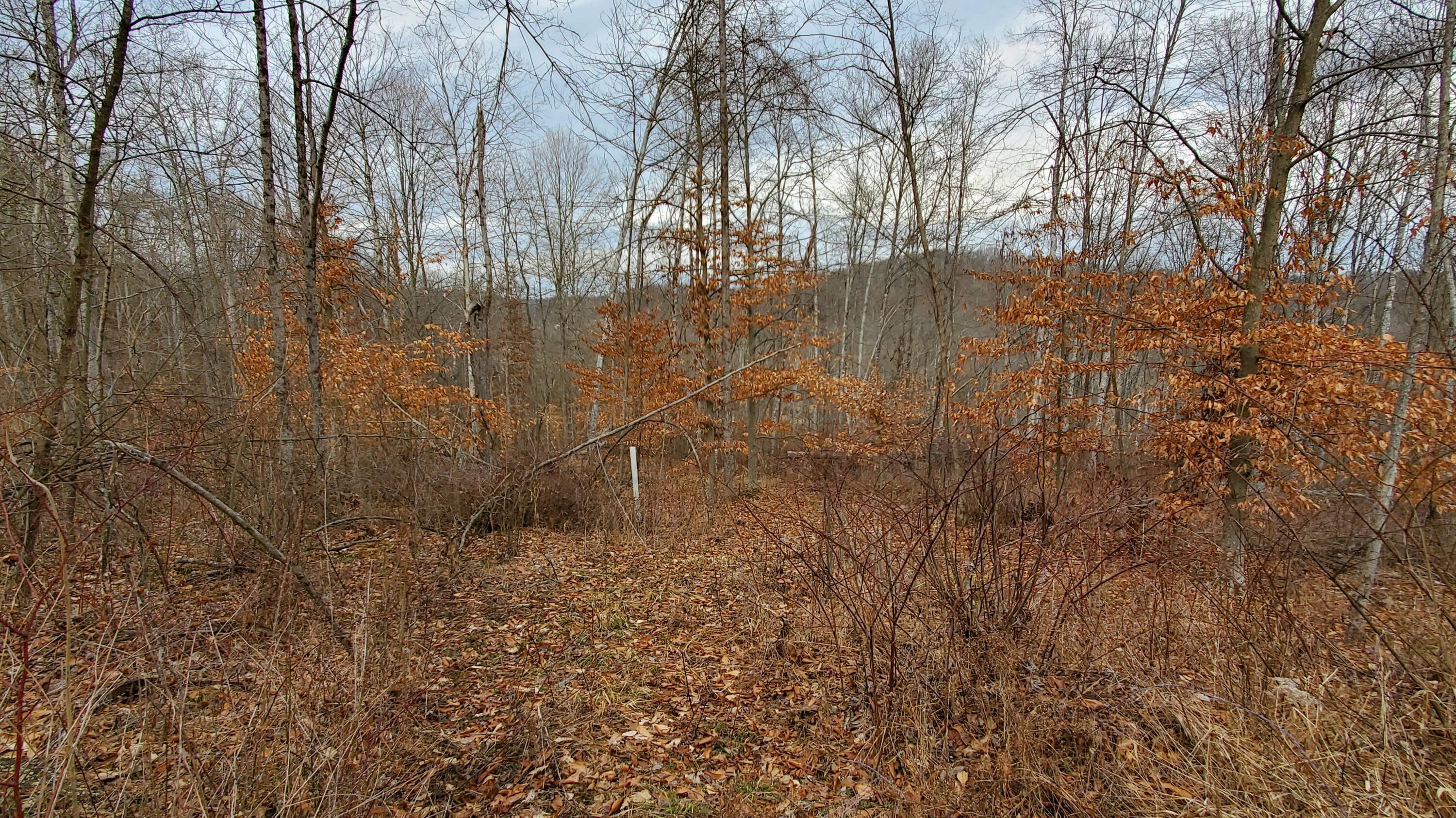 6870 Crane Run Road Cumberland, OH 43732 - Photo 43 of 49 20250226_125442