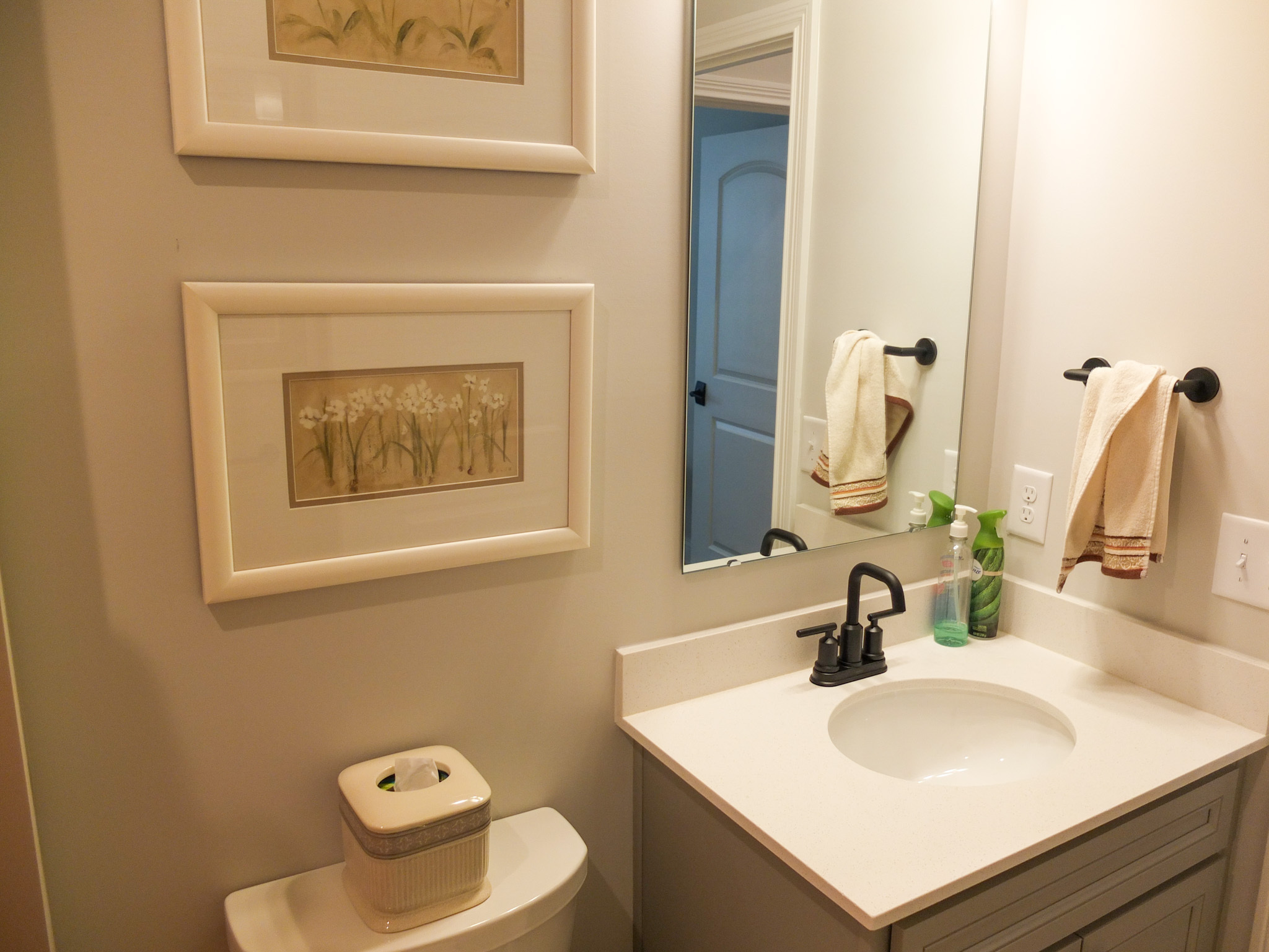 4718 Cleome Drive Plainfield, IN 46168 - Photo 22 of 38