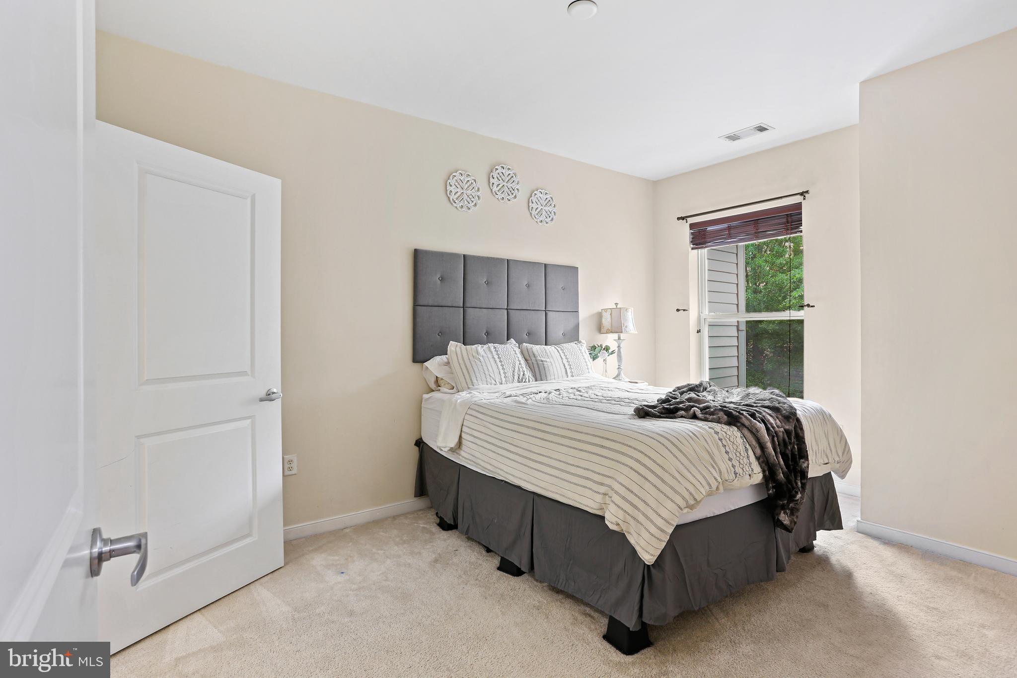 8045 Newell Street, Unit 223 Silver Spring, MD 20910 - Photo 12 of 25 Primary Bedroom with carpeting