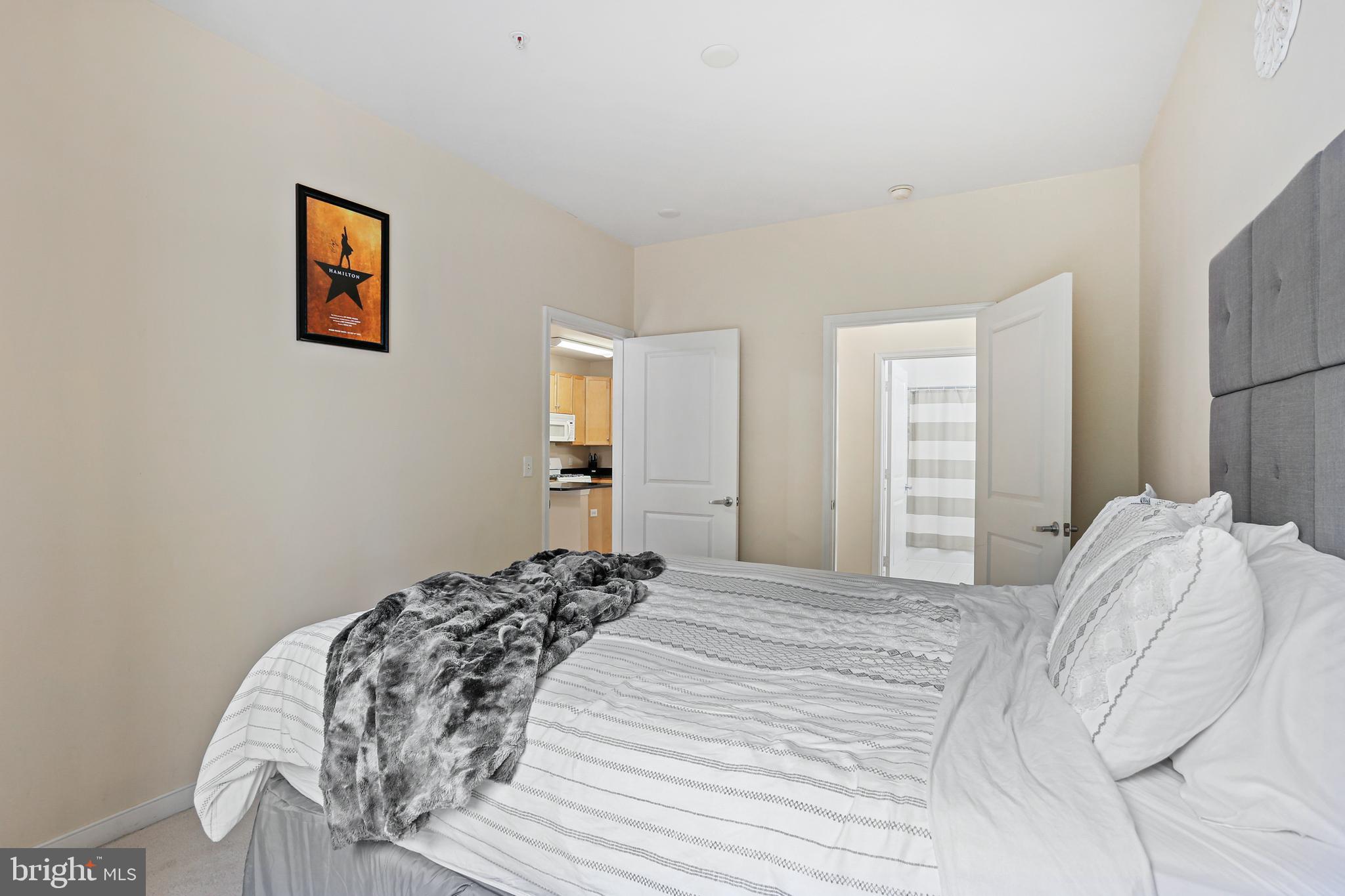 8045 Newell Street, Unit 223 Silver Spring, MD 20910 - Photo 14 of 25 Primary Bedroom