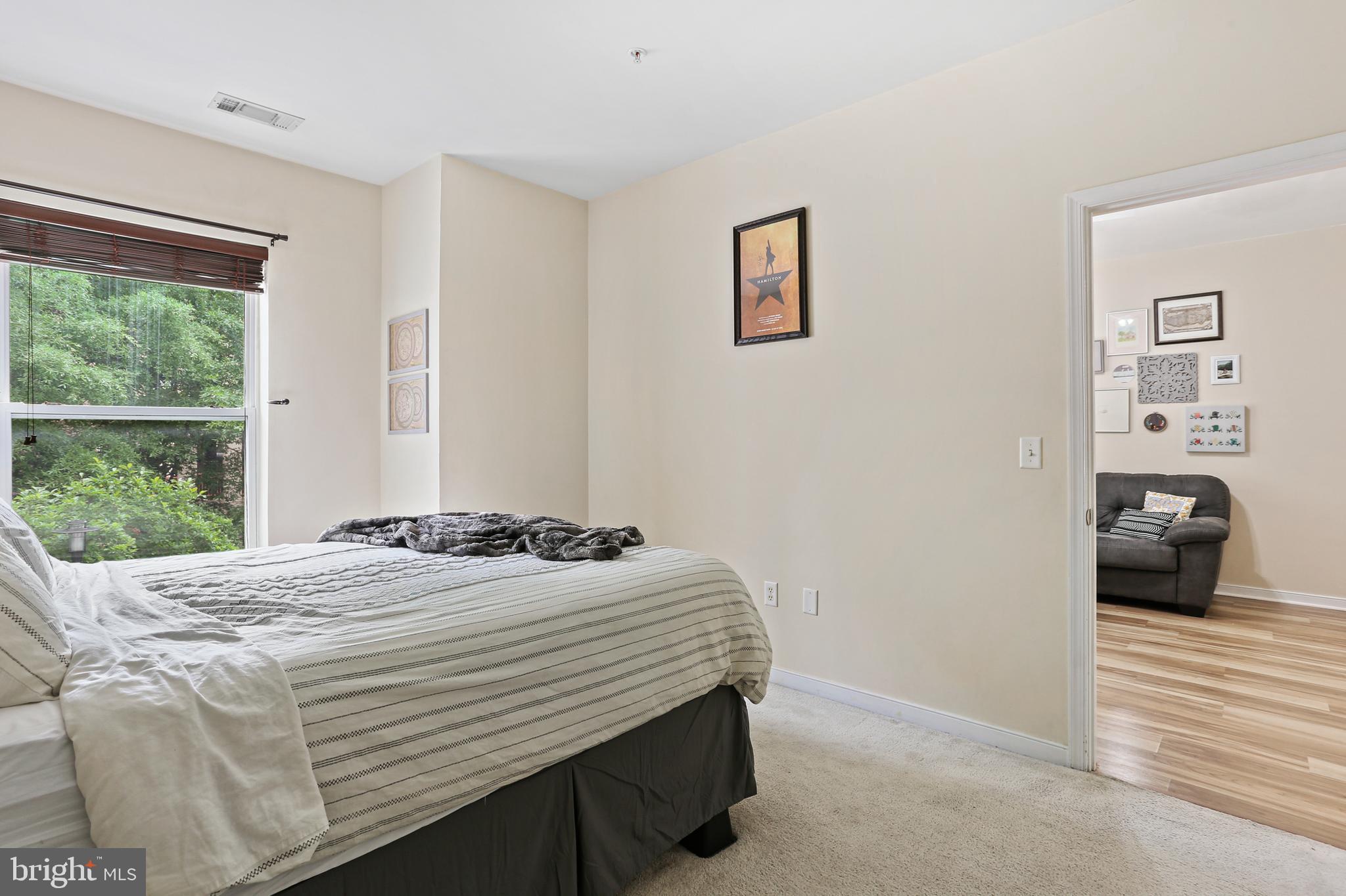 8045 Newell Street, Unit 223 Silver Spring, MD 20910 - Photo 15 of 25 Primary Bedroom