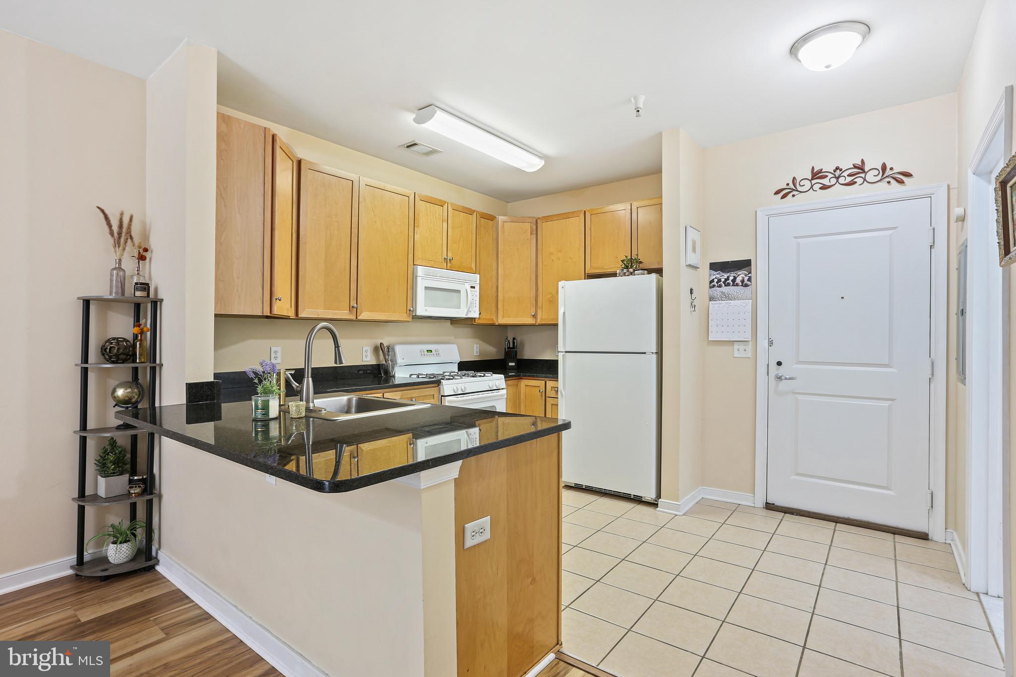 8045 Newell Street, Unit 223 Silver Spring, MD 20910 - Photo 2 of 25 Gourmet Kitchen with Granite Counters