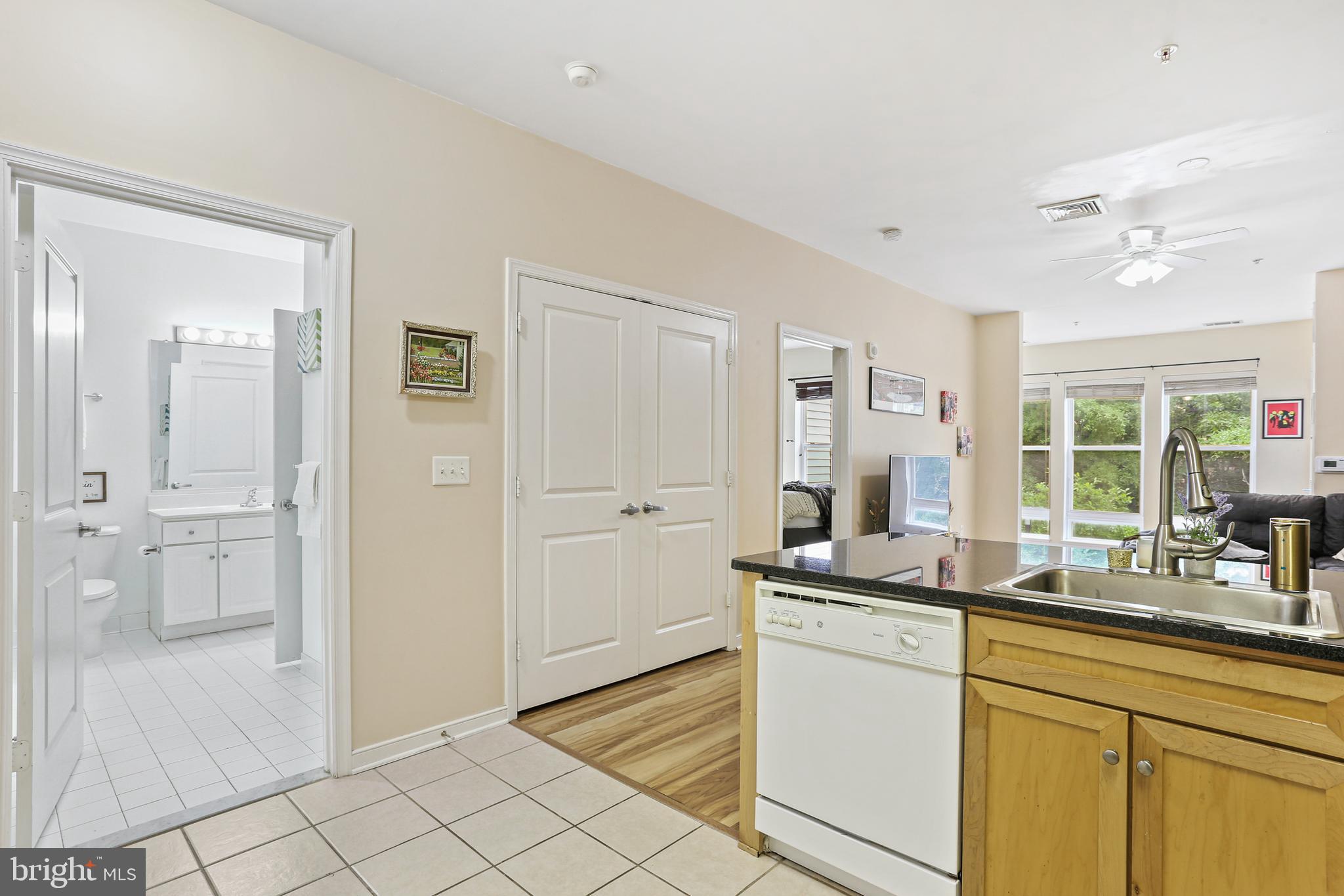 8045 Newell Street, Unit 223 Silver Spring, MD 20910 - Photo 3 of 25 Gorgeous, 2 panel doors