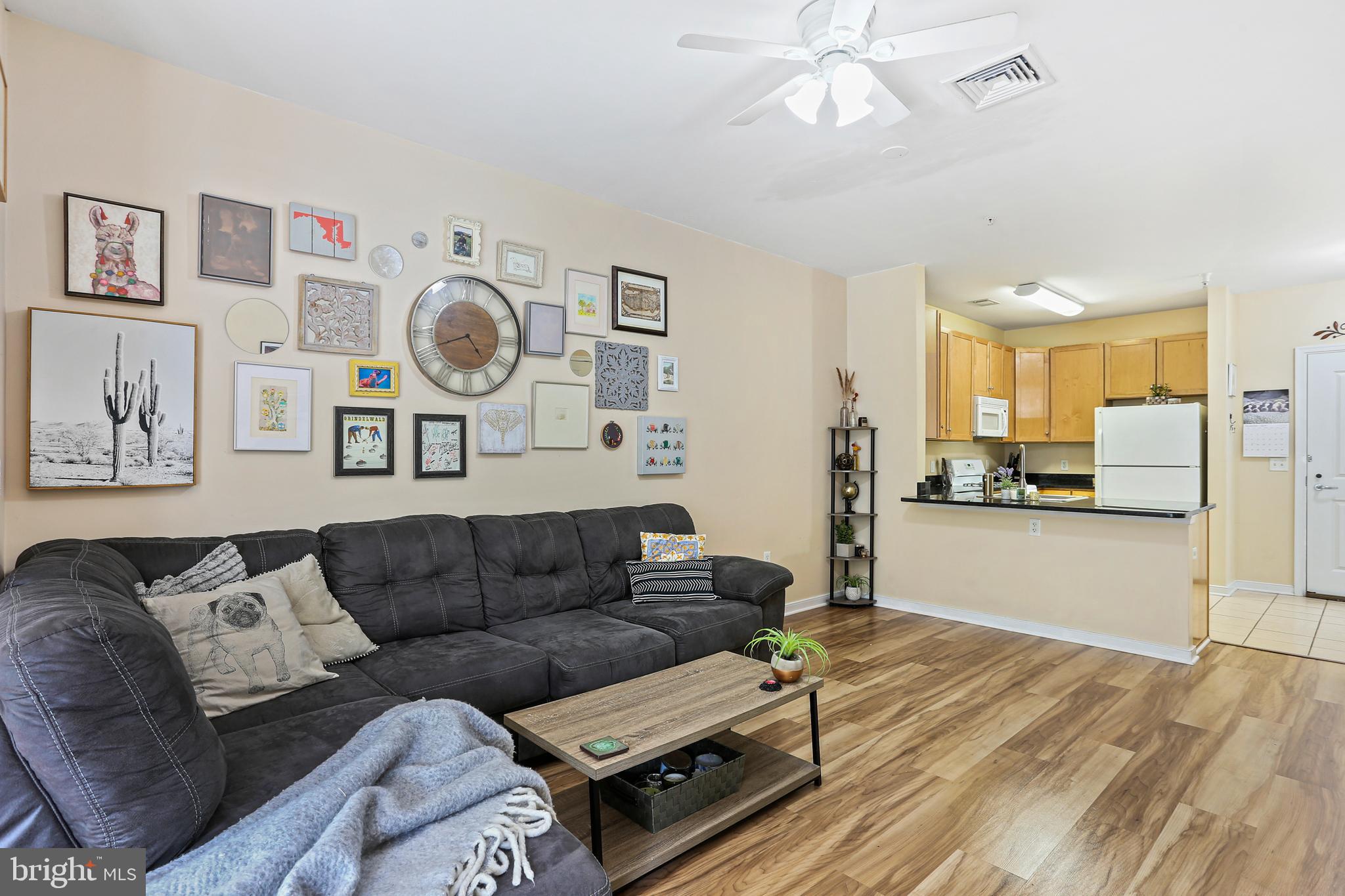 8045 Newell Street, Unit 223 Silver Spring, MD 20910 - Photo 5 of 25 Living Room with Ceiling Fan